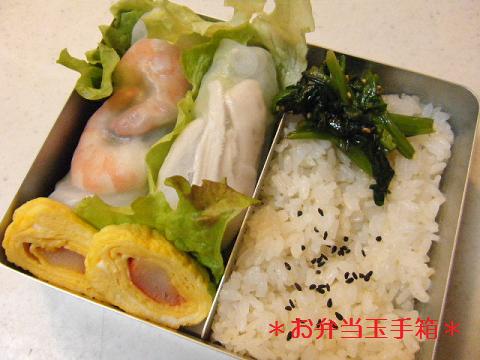 2/27　生春巻き弁当_a0105730_92513.jpg