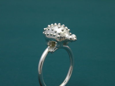 c0174330_17335447.jpg