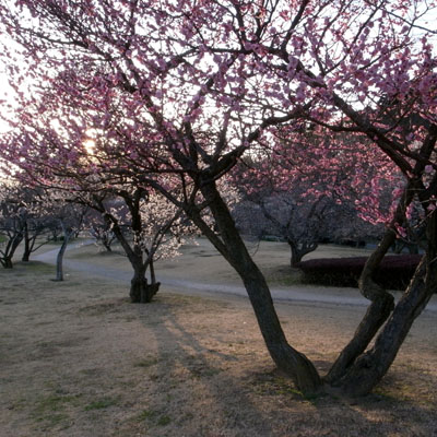 c0182231_1781688.jpg