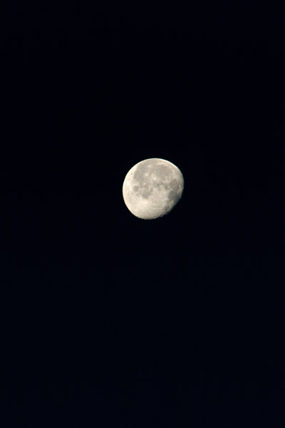c0182231_21105074.jpg