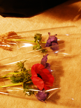e0068732_225793.jpg