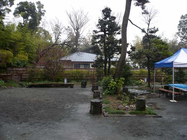 a0006033_1459740.jpg