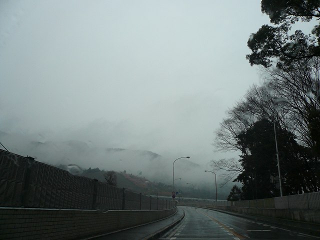 a0006033_156585.jpg