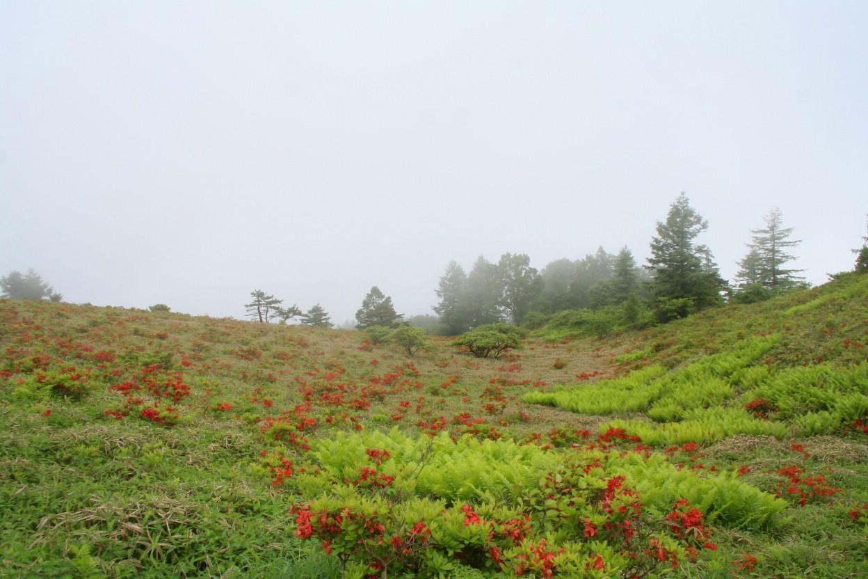 Scene of memories　～登山編Ⅰ～_f0057833_8284256.jpg