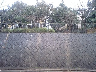 c0178336_13204366.jpg