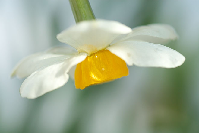 c0067040_229266.jpg