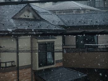 初雪で〜す☃_b0097482_12114963.jpg