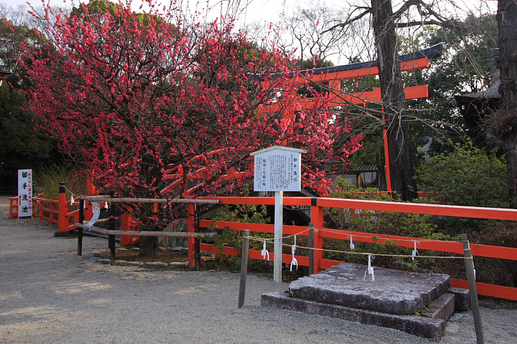 下鴨神社_e0051888_1235055.jpg