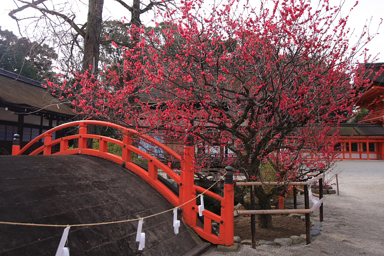 下鴨神社_e0051888_1251083.jpg