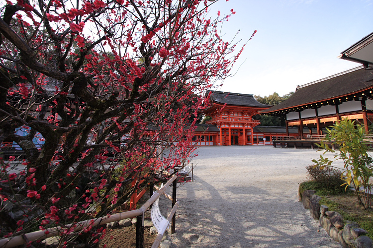 下鴨神社_e0051888_1262299.jpg