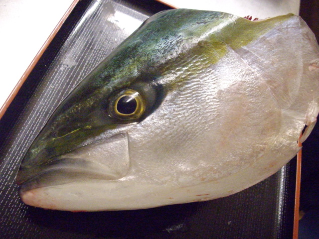 f0084695_17362034.jpg