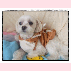 f0148595_2372096.gif