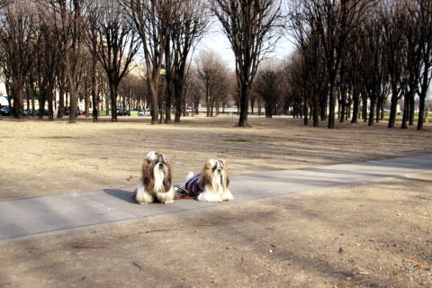 c0090198_4115564.jpg