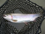 2月27日(金)の釣果_f0192504_191483.jpg