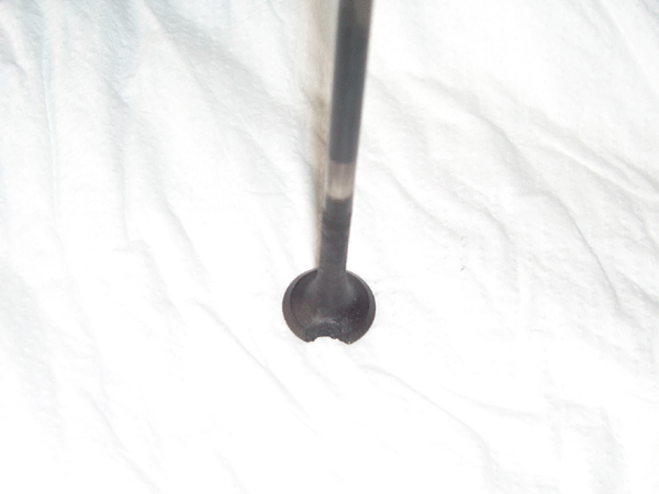 b0159611_2034332.gif