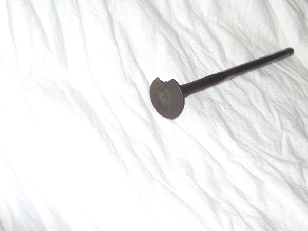 b0159611_2042358.gif