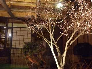 c0061311_23163054.jpg