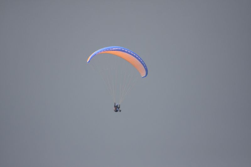 f0169012_2264676.jpg