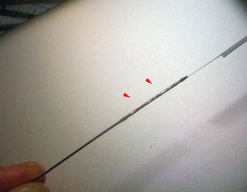 a0055913_054392.gif