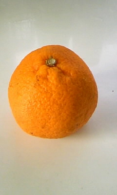 c0133013_192362.jpg
