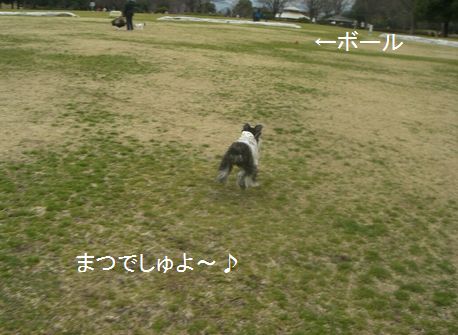 f0197317_18565746.jpg