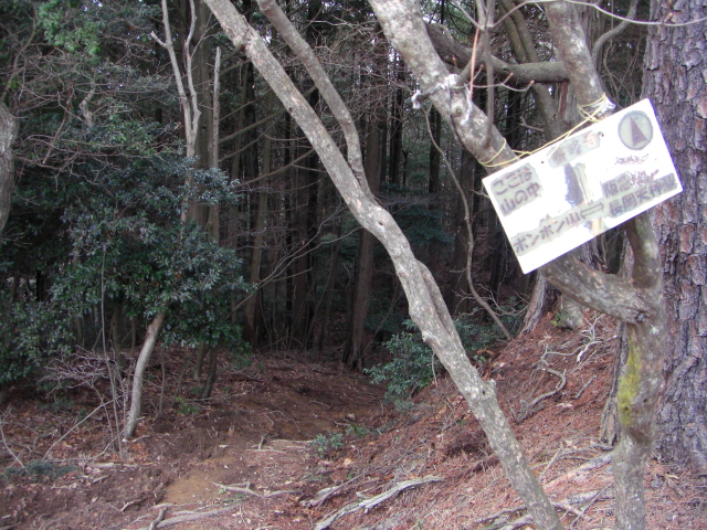 e0171018_2319669.jpg