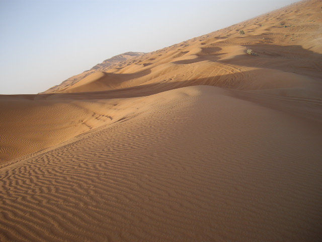 d0104926_75218.jpg