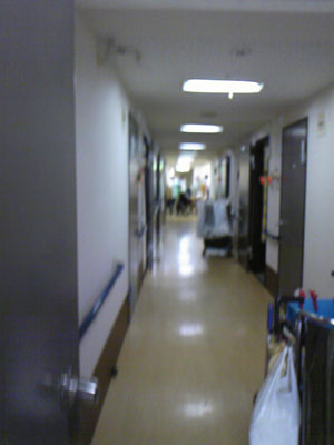 b0055939_23445715.jpg