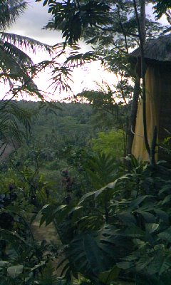 f0124642_1265785.jpg