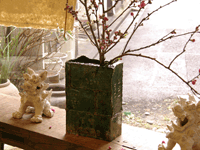 f0159844_161576.gif