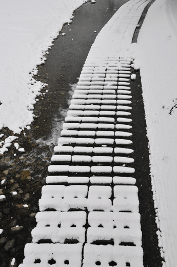 c0093046_06969.gif