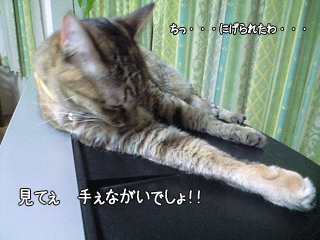 f0116546_2321533.gif