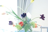2月も終わり。。_d0139350_1131514.jpg