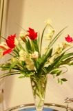 2月も終わり。。_d0139350_11375335.jpg