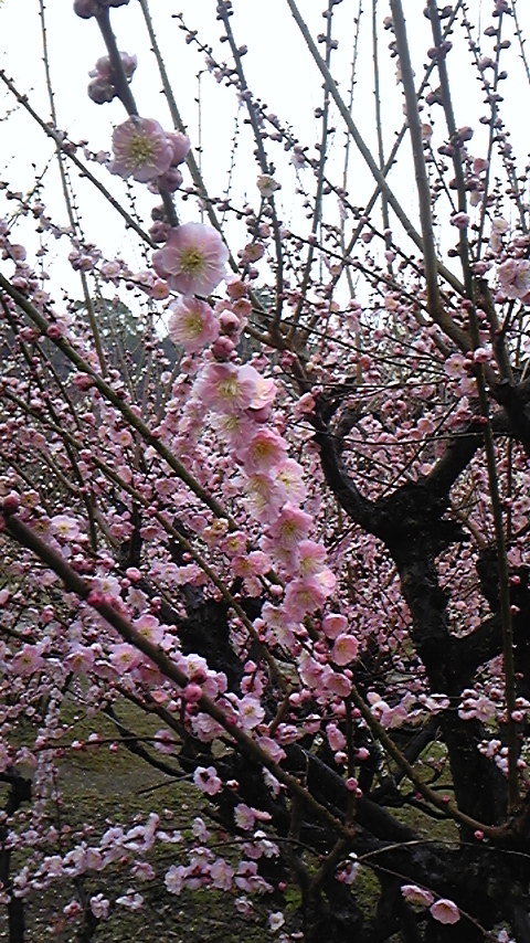 b0147756_1831193.jpg