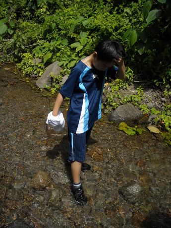 f0062870_92387.jpg