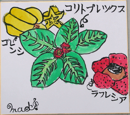 植物園の作品　色紙に描こう_e0167771_11582860.gif