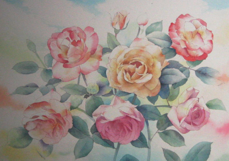 薔薇を描く その２ 完成へ 福井良佑の水彩画 Watercolor Terrace