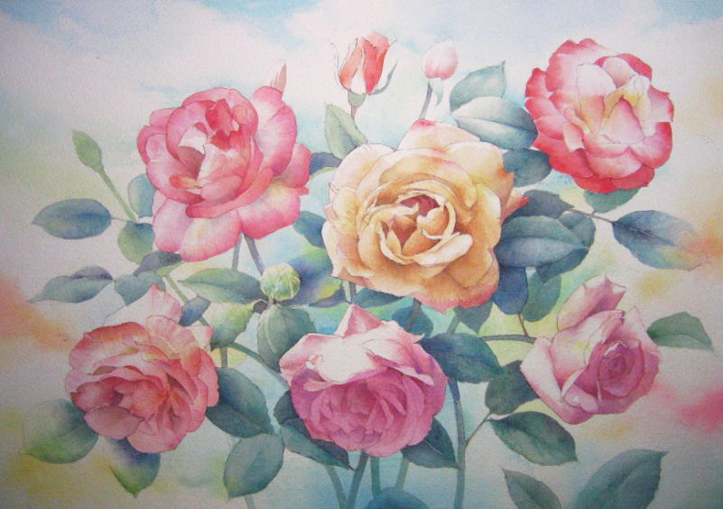 薔薇を描く その２ 完成へ 福井良佑の水彩画 Watercolor Terrace