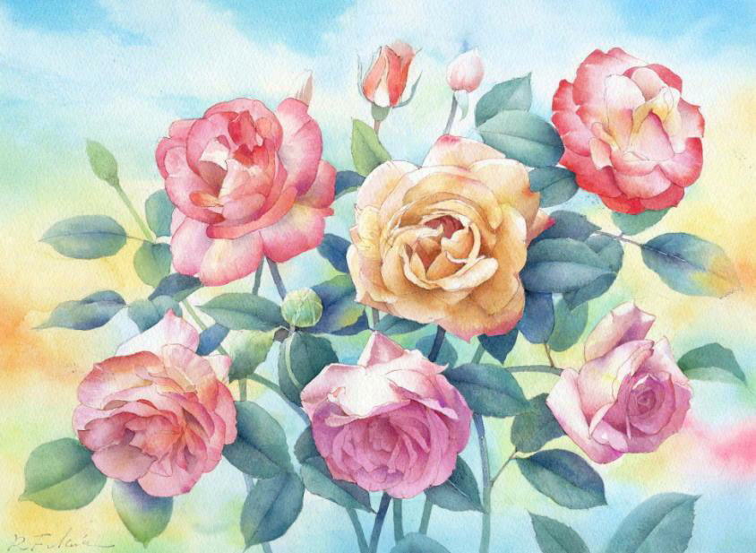 薔薇を描く その２ 完成へ 福井良佑の水彩画 Watercolor Terrace