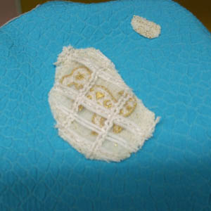 e0008674_12474747.jpg