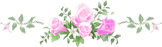 e0088576_1744940.gif