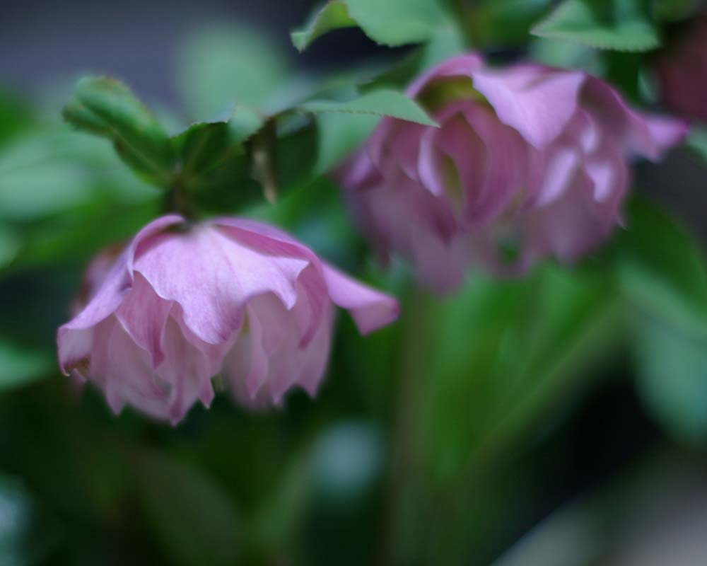 e0129991_1214177.jpg