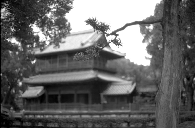f0161595_19285630.jpg