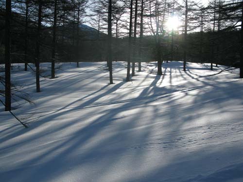 雪景色の美しい朝_e0120896_11342057.jpg