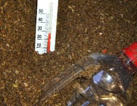 c0151898_1219123.jpg