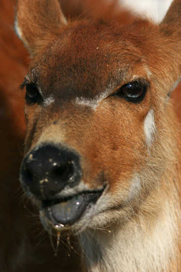 b0016600_75963.jpg