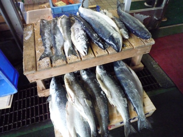 f0036700_12312617.jpg
