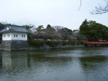f0120102_17105953.jpg