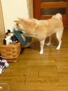 e0131506_2054342.jpg